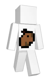 Front of Atilax007's skin