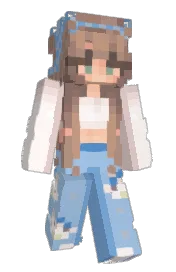 Skin preview