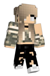 amidiot's Minecraft skin