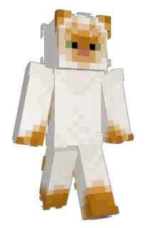 Halfophobia's Minecraft skin