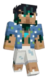 Minecraft skin — Classic model