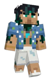 Skin preview