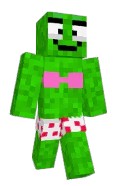 Skin preview