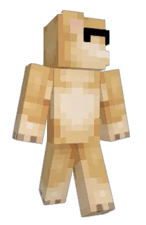 Front of ElFabiC's skin