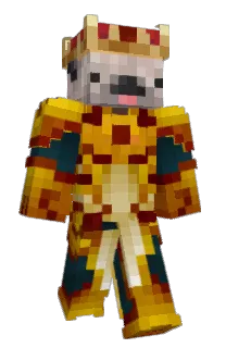 Front of Salh_Christian's skin