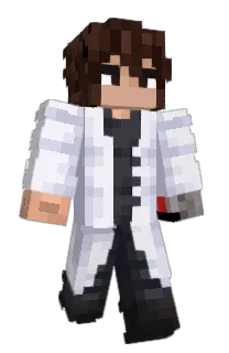 Nixou_'s Minecraft skin