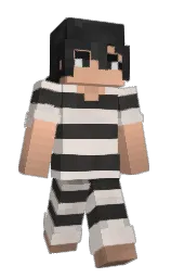 Slim Minecraft skin