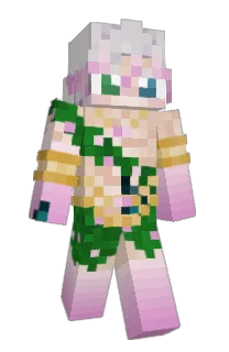 Front of Minecraft skin