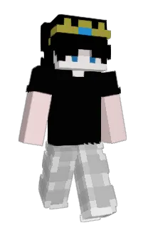 Front of Sehiqu's skin