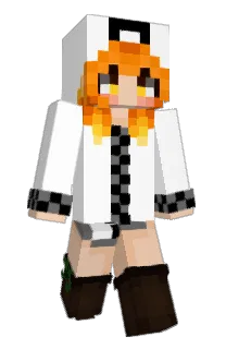 Front of Minecraft skin