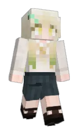 wafer and cinderella Minecraft skin — Slim model — first worn by _inona_