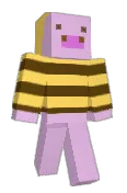 DvorZir