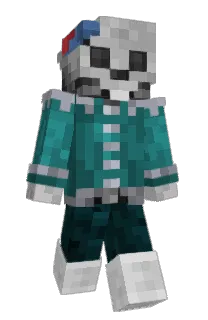 Front of skibidigooner's skin