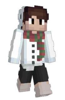 Front of PlanetPiggy's skin