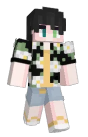 Skin preview