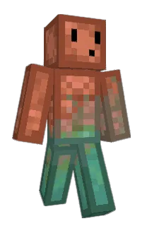 Front of TypicalTurtle1's skin