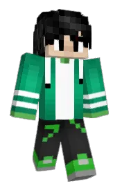 Skin preview