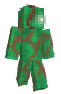Front of WASTELANDPARTY's skin