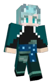 Skin preview