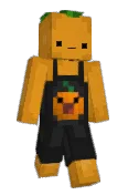 dpdms_o8