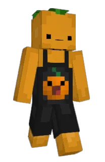 Skimboards's Minecraft skin