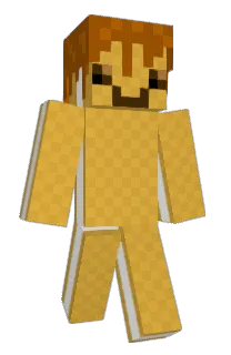 Front of bodoji's skin