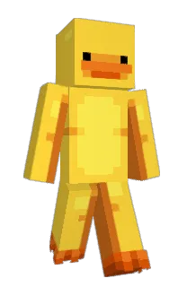 Front of Seumogeu's skin