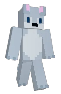 Front of PongRip's skin