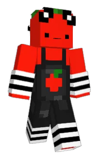 Front of DDmax500's skin