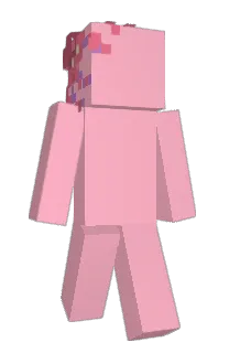 Front of 9171's skin