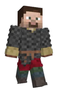 Front of hansauph's skin