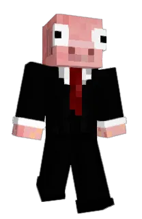 Front of Swagepic's skin
