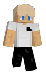 Classic Minecraft skin