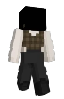 Front of TonelessBlock25's skin