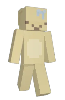 Front of IMakeSkins's skin