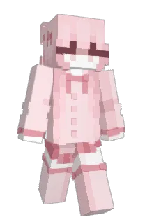 Front of ZCZFJ's skin