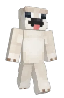 Front of zonkw's skin