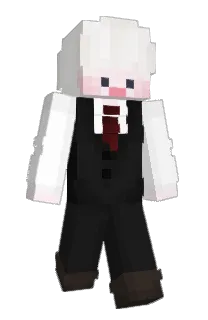 Front of BOKKMA's skin