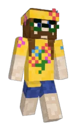 Classic Minecraft skin