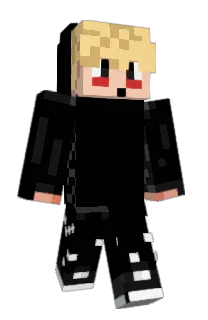 Front of _ProCeed_'s skin