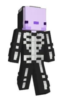 Front of Txdd's skin