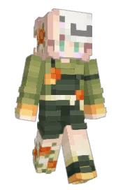 Skin preview