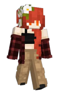 Front of Minecraft skin