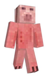Front of 20120315's skin