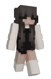 Front of fvsa's skin
