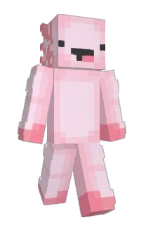 Front of Whixpt's skin
