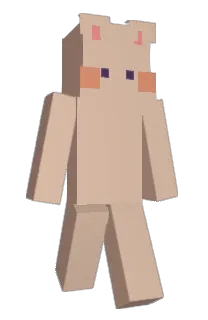 Front of Minecraft skin