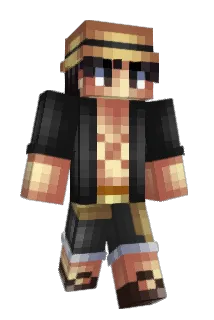 8bCoins Minecraft avatar full body