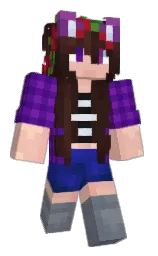 Classic Minecraft skin