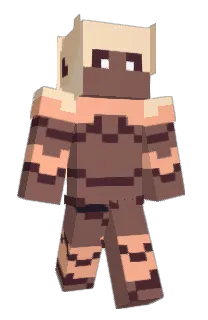 Front of wkino's skin